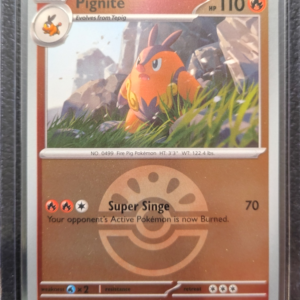 POK- Pignite (030/217)