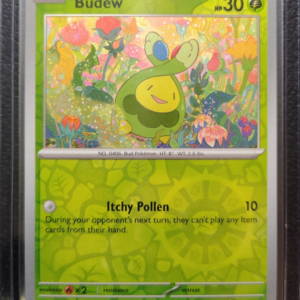 POK- Budew (004/131)