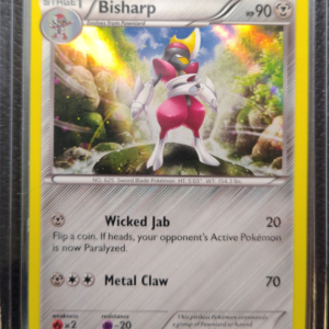 POK- Bisharp (20/39)