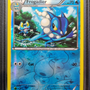 POK- Frogadier (47/162)