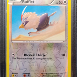 POK- Rufflet (92/114)