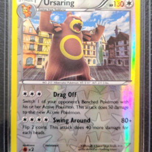 POK- Ursaring (122/162)