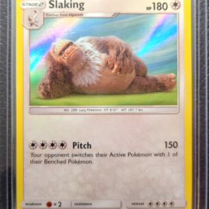 POK- Slaking (18/18)