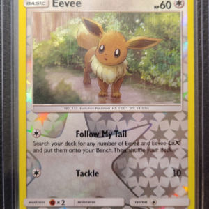 POK- Eevee (167/236)