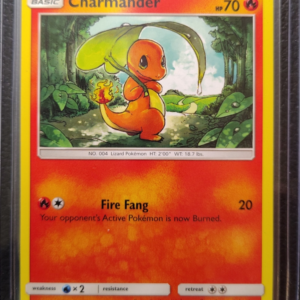 POK- Charmander (1/70)